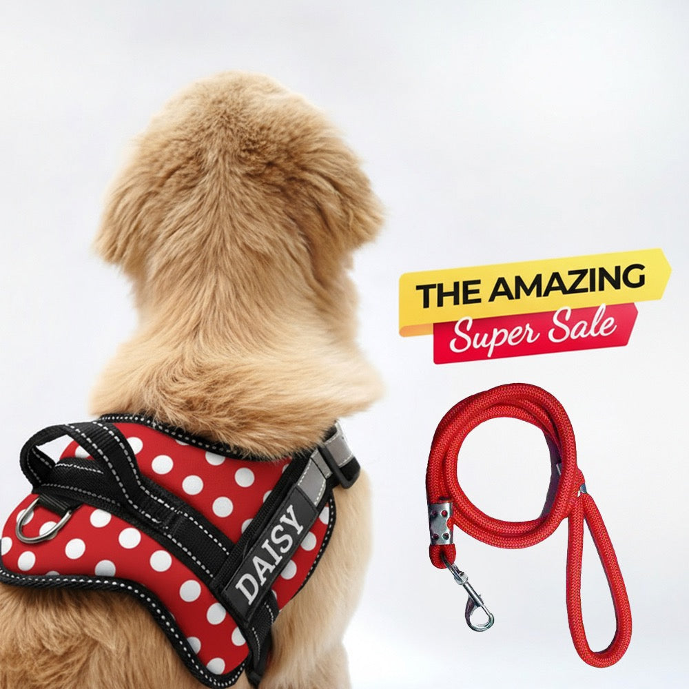 Personalized Dog Harness