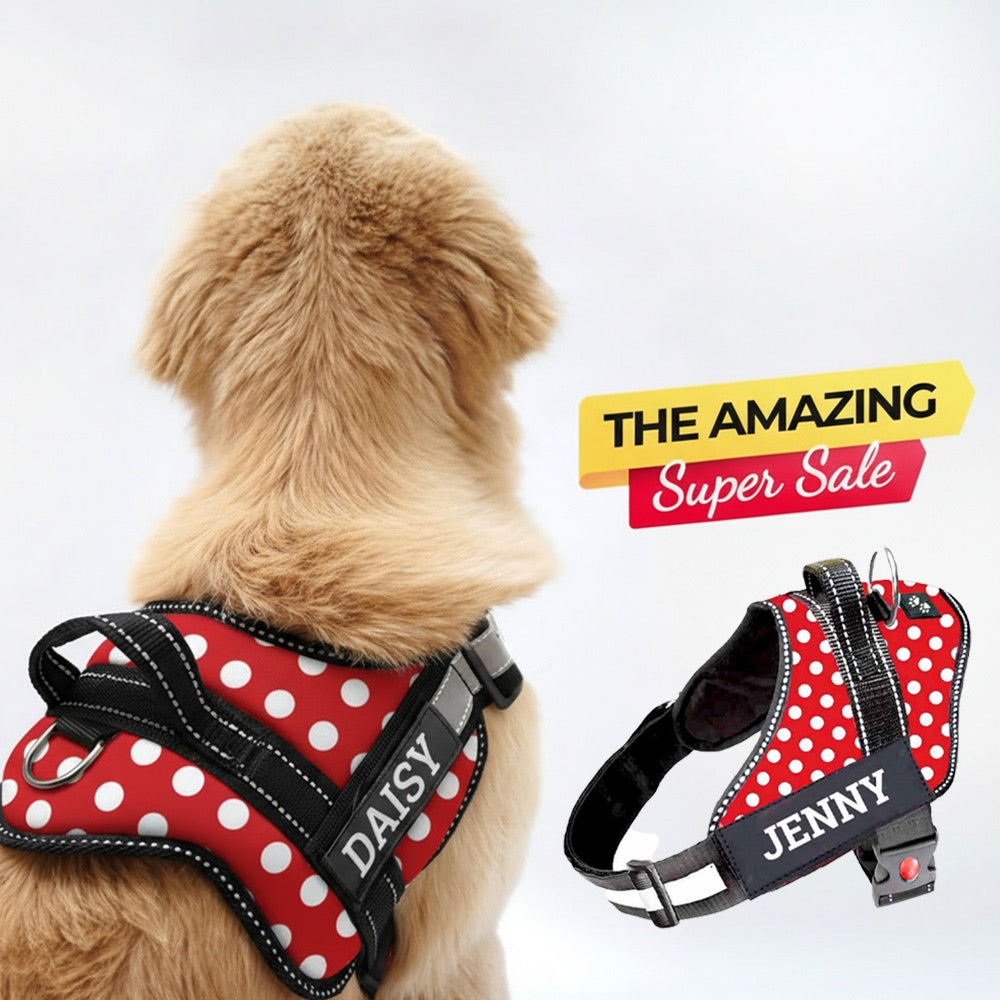 Personalized Dog Harness - POLKA CHARM