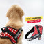 Personalized Dog Harness - POLKA CHARM