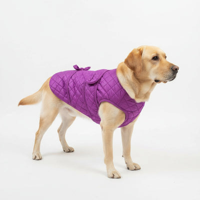 SUPER PET Warm Dog Jacket - PURPLE