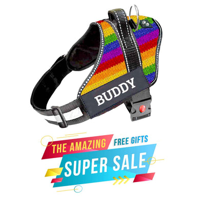 Personalized Dog Harness - NEW RAINBOW