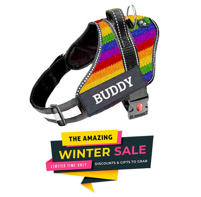 Personalized Dog Harness - NEW RAINBOW