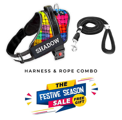 Personalized Dog Harness - RAINBOW BLISS