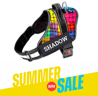 Personalized Dog Harness - RAINBOW BLISS