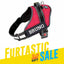 Personalized Dog Harness