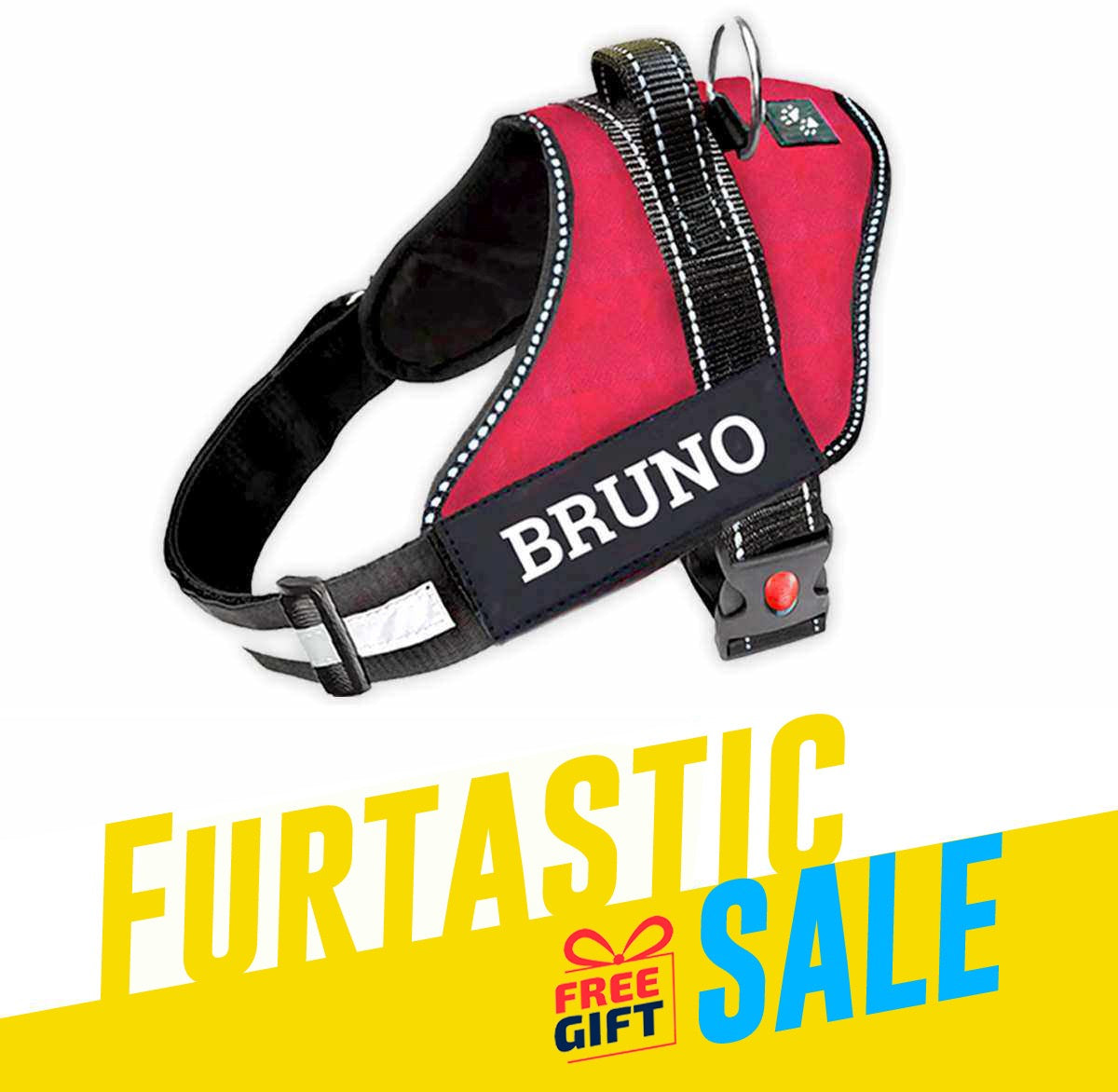 Personalized Dog Harness