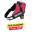 Personalized Dog Harness