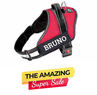 Personalized Dog Harness - RED