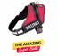 Personalized Dog Harness - RED