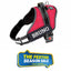 Personalized Dog Harness