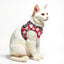 Personalized Cat Harness 2.0 - Red Meow
