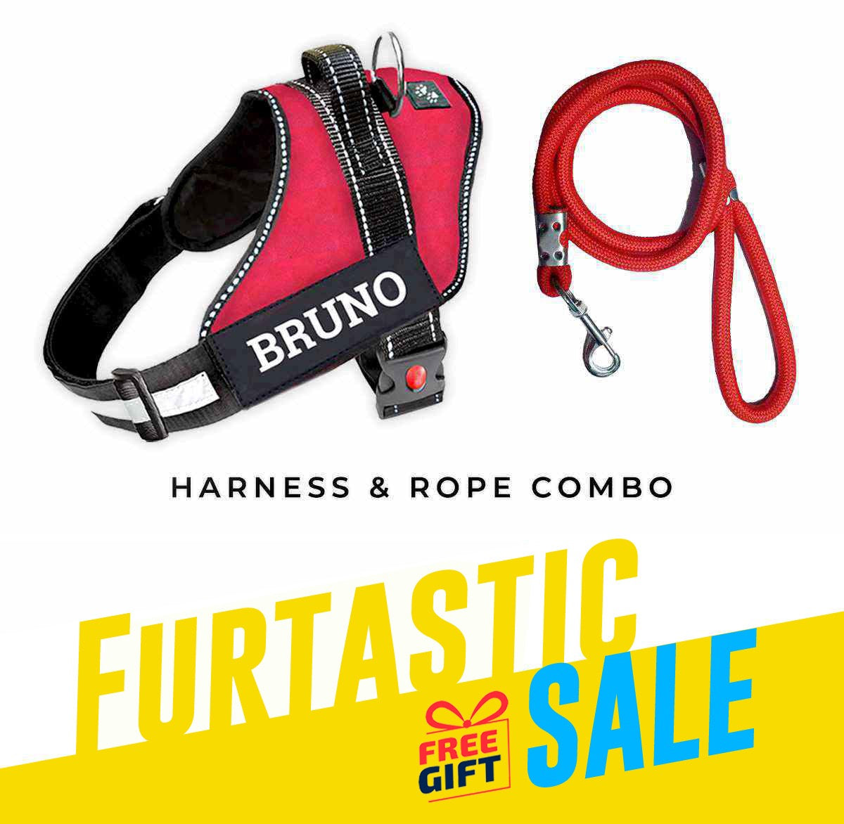 Personalized Dog Harness