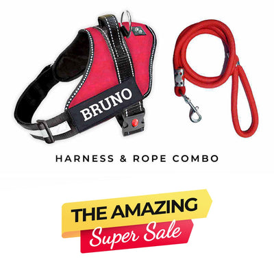 Personalized Dog Harness - RED