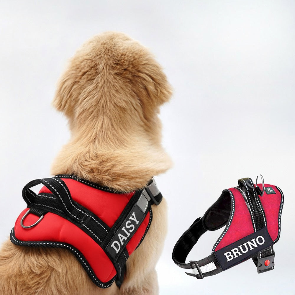 Personalized Dog Harness - RED