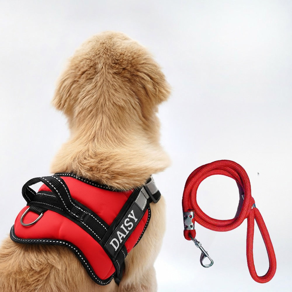 Personalized Dog Harness - RED