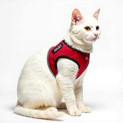 Personalized Cat Harness 2.0 - Red