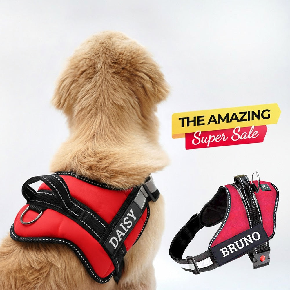 Personalized Dog Harness - RED