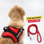 Personalized Dog Harness