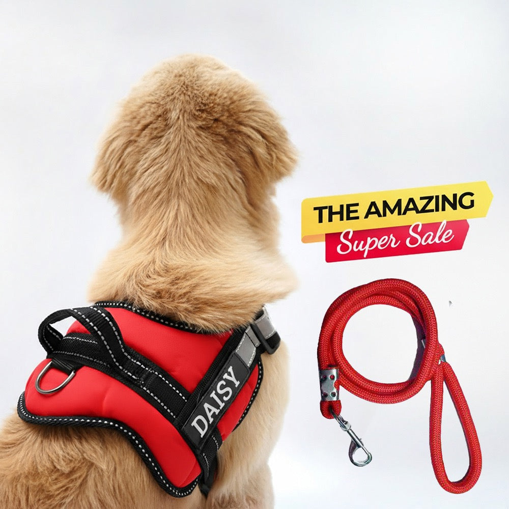Personalized Dog Harness