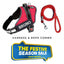 Personalized Dog Harness