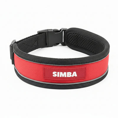 Personalized Matty Collar - RED