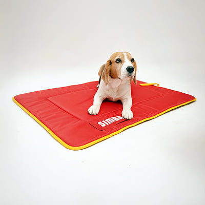 Personalized Comfy Dog Mat