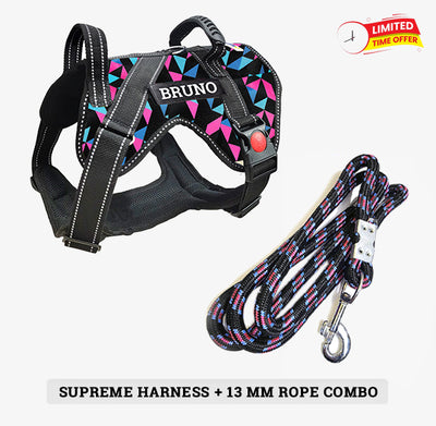 Personalized Supreme Harness - RETRO SPICE