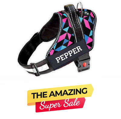 Personalized Dog Harness - RETRO SPICE