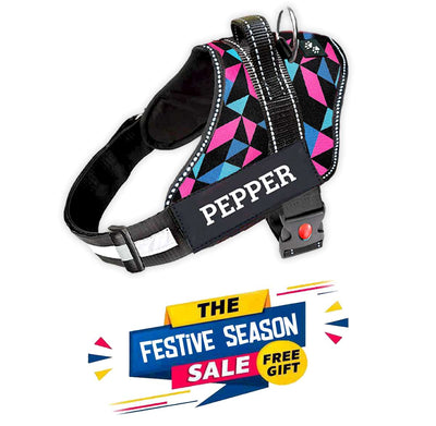 Personalized Dog Harness - RETRO SPICE