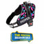 Personalized Dog Harness