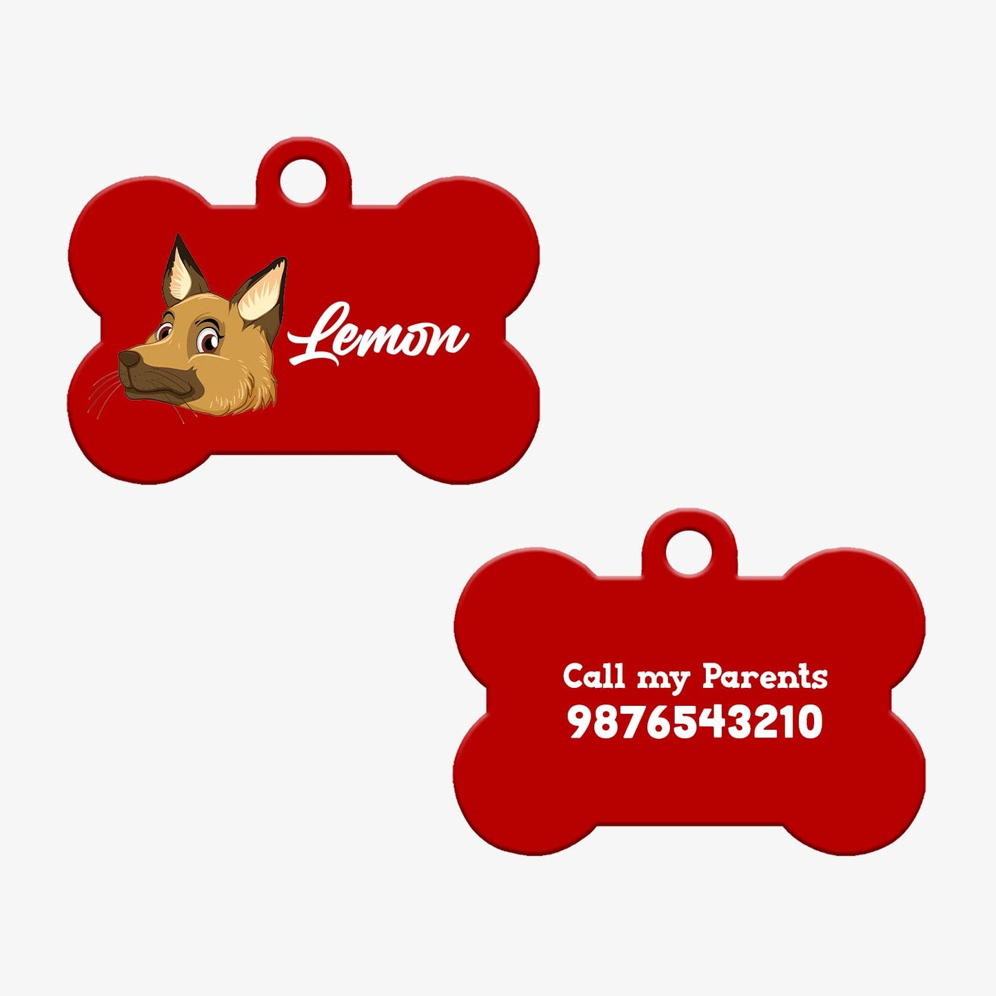 Personalized Pet ID Tag - Indie 2