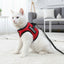 Personalized Cat Harness 2.0 - Red