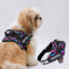 Personalized Dog Harness