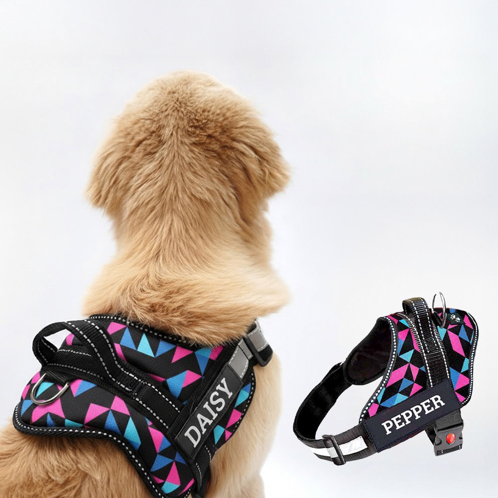Personalized Dog Harness - RETRO SPICE
