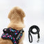 Personalized Dog Harness