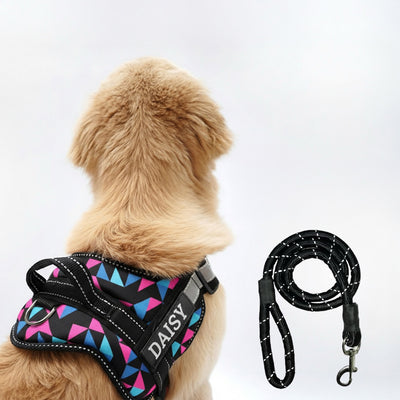 Personalized Dog Harness - RETRO SPICE