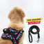 Personalized Dog Harness