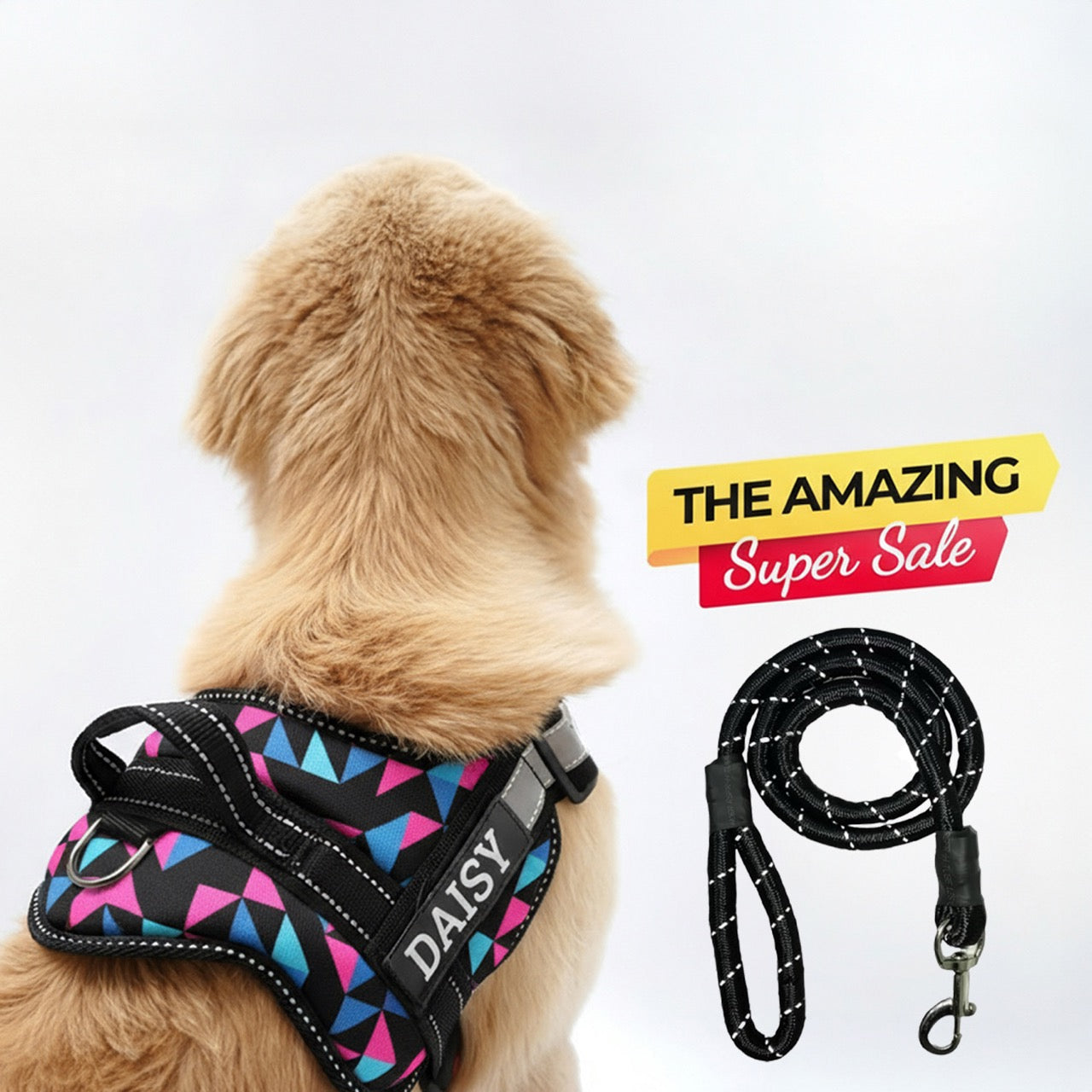 Personalized Dog Harness
