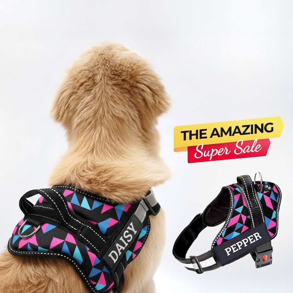 Personalized Dog Harness - RETRO SPICE