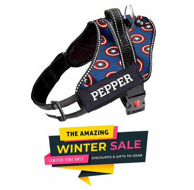 Personalized Dog Harness -SUPERHERO