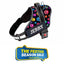 Personalized Dog Harness