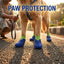 Silicone Dog Boots with Stretch Fit Socks