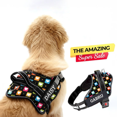 Personalized Dog Harness - SOUL BOX