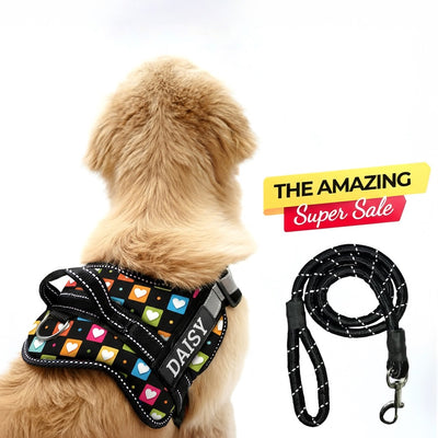Personalized Dog Harness - SOUL BOX