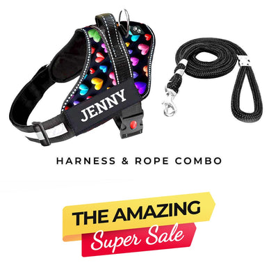 Personalized Dog Harness - SUPER HEARTS 3D