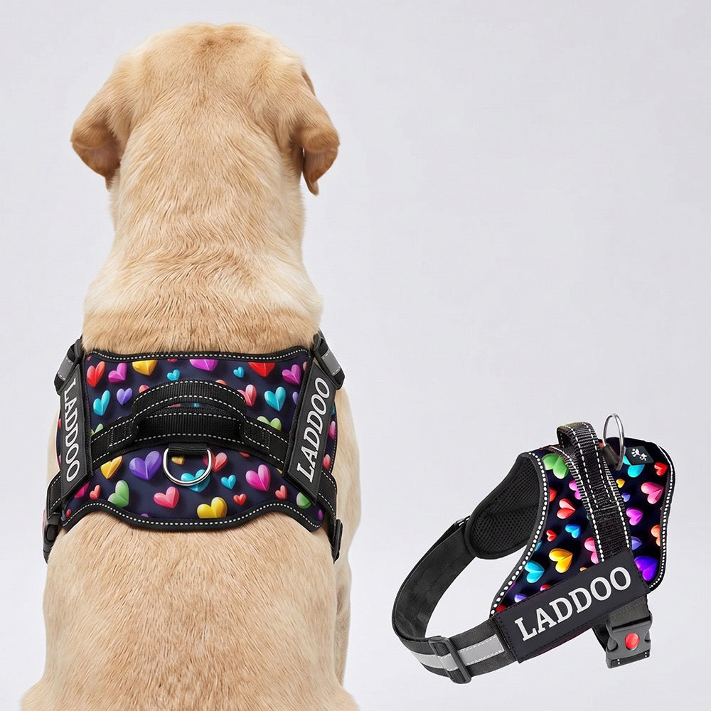 Personalized Dog Harness - SUPER HEARTS 3D