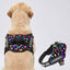 Personalized Dog Harness - SUPER HEARTS 3D