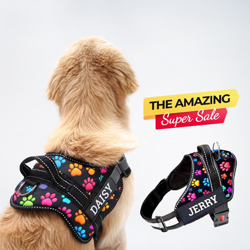 Personalized Dog Harness - SUPER PAWS