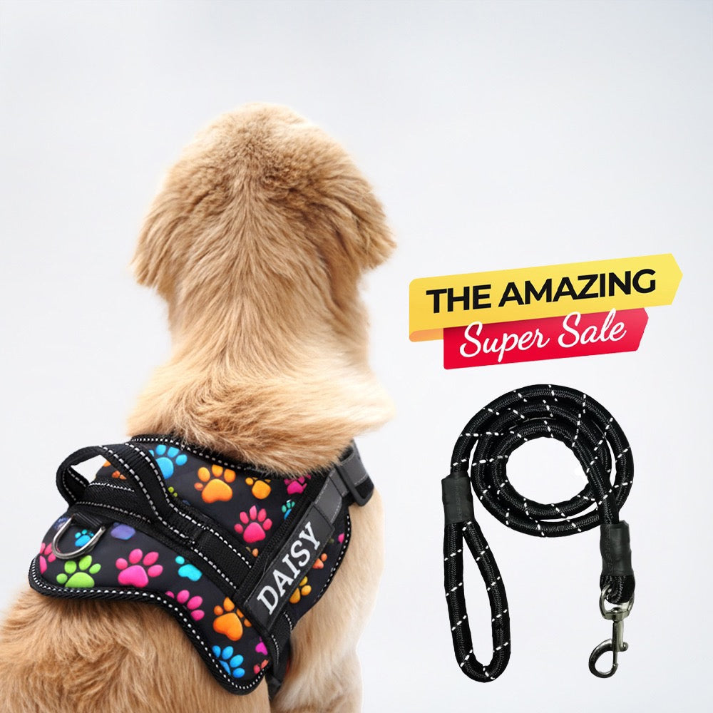 Personalized Dog Harness
