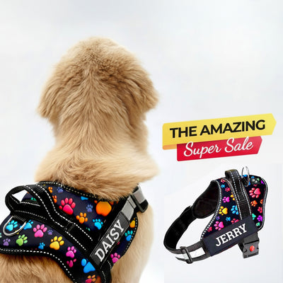 Personalized Dog Harness - SUPER PAWS